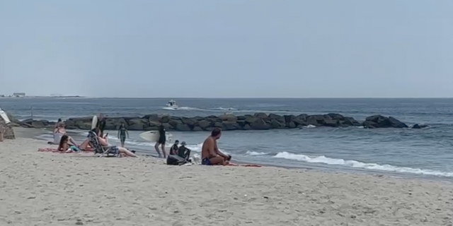 shark at NYC beach