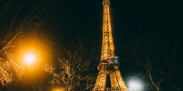 The Eiffel Tower at night