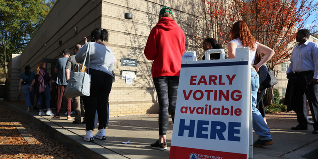 Georgia voting line