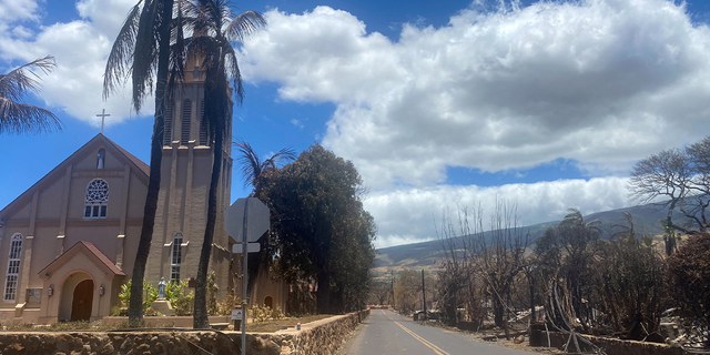 Wildfires in Hawaii