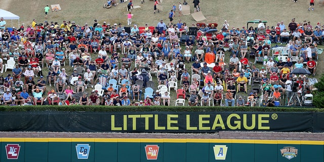 Little League World Series fans