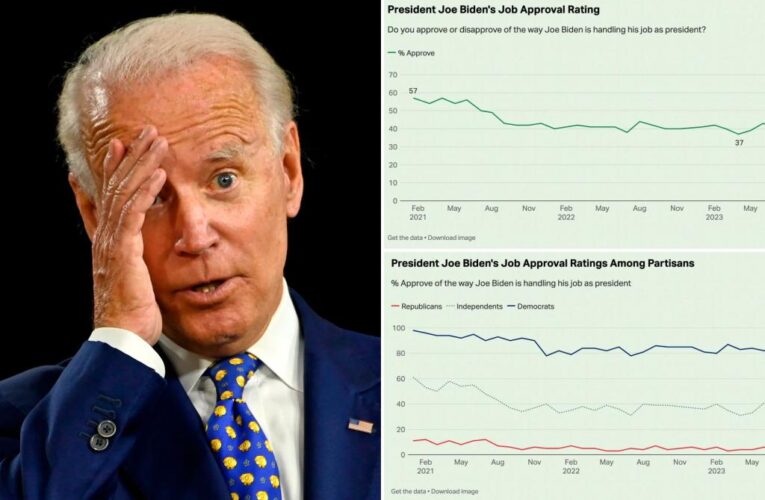 Only 31% approve of Biden’s handling of immigration issues: Gallup poll