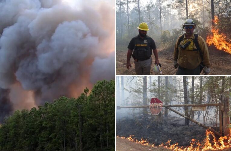 Two dead as ‘unprecedented’ 450 wildfires scorch Louisiana