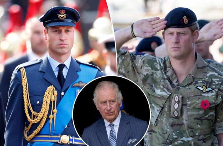 King Charles gives William command of Harry’s old Army unit in major royal reshuffle