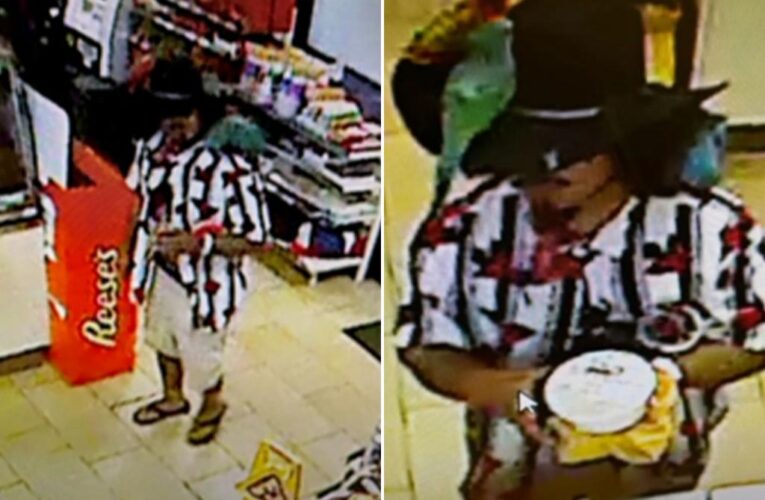Virginia police looking for man carrying parrots on shoulder during robbery