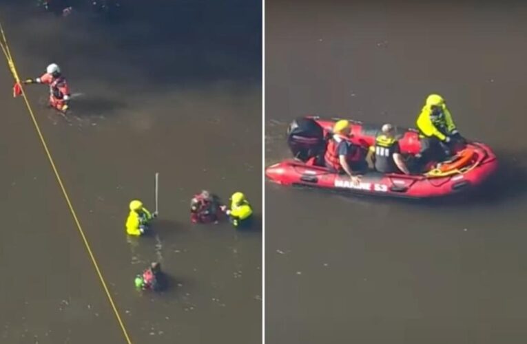 Dad drowns saving his three kids in New Jersey river: police