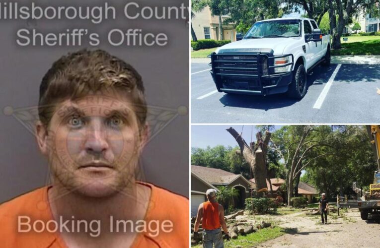 Florida one-star Google review leads to arrest in fatal hit-and-run death of David Adams