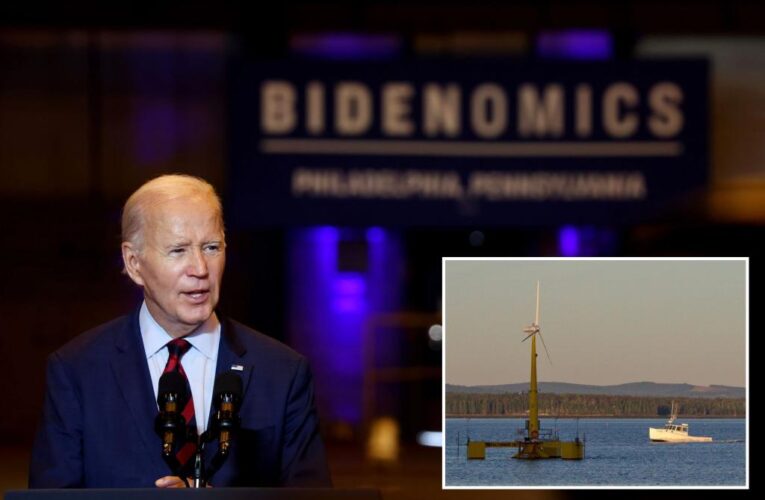 Biden administration blasted for ‘hypocrisy’ on offshore wind as it scrambles to probe whale deaths