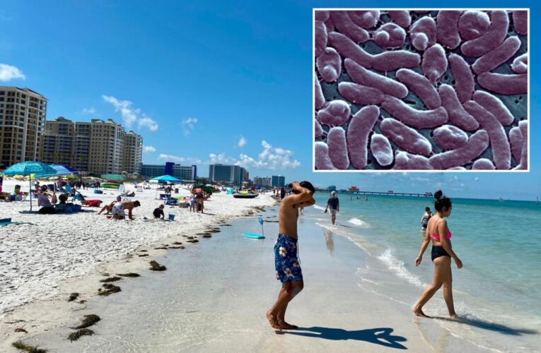 Florida reports five deaths from ‘flesh-eating’ bacteria in Tampa Bay since January