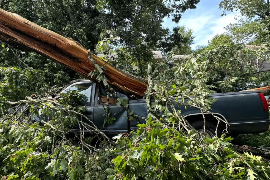Strong winds in Knoxville, Tennessee knocked this tree onto a truck. (@PRINCESS30KNG/Twitter)