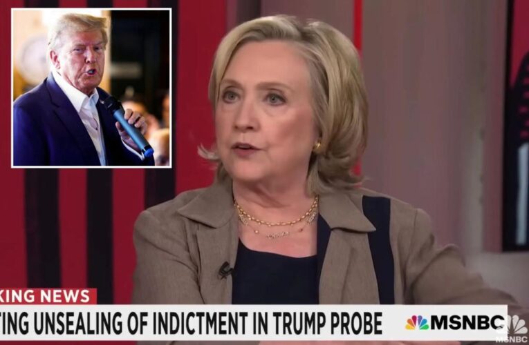 Hillary Clinton says she feels ‘profound sadness’ over Trump indictments