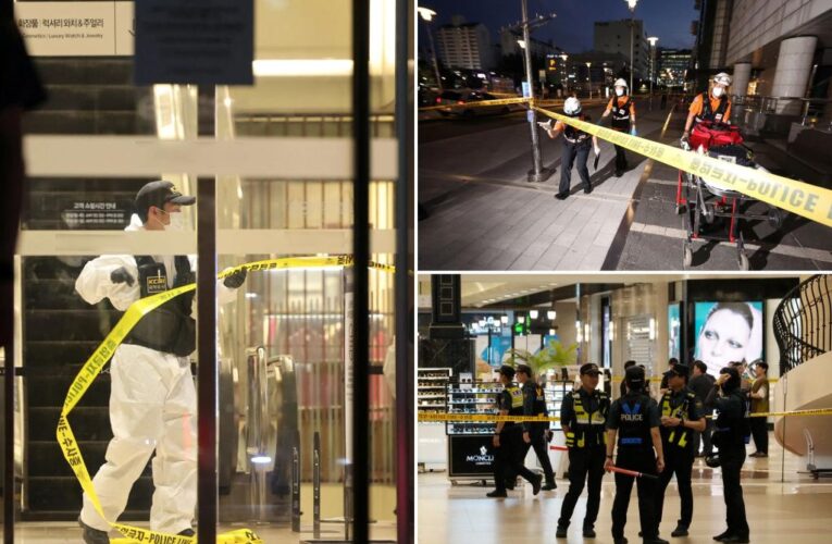 South Korea man rams car onto sidewalk, stabs pedestrians