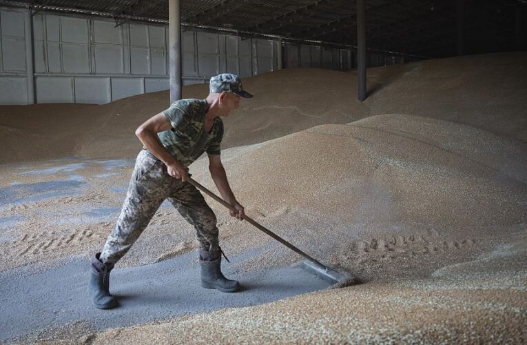 MEPs spar over EU bans on Ukrainian grain as deadline for extension looms