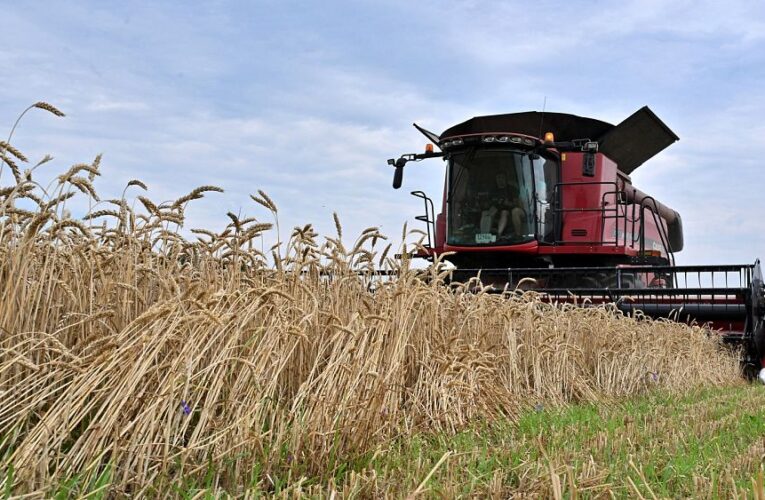 EU lifts bans on Ukrainian grain as Kyiv commits to avoid new market distortions