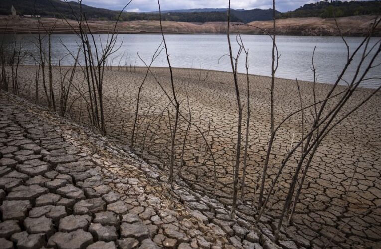 Water lorries and reused wastewater: How EU countries battle drought