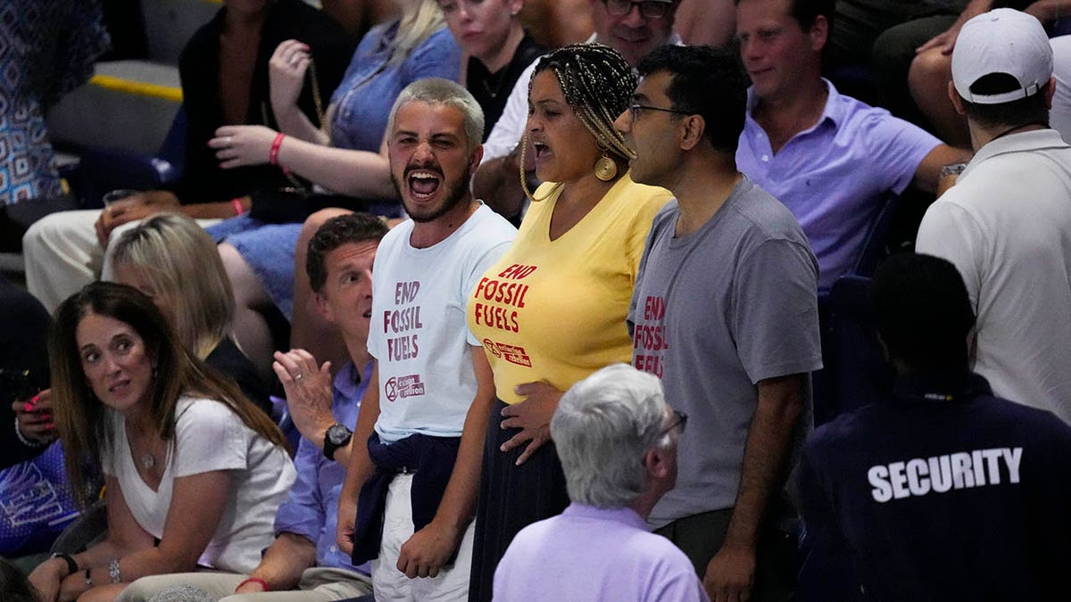 Protesters in the stands