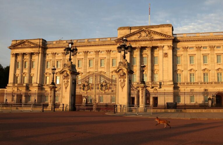 Buckingham Palace intruder arrested for climbing Royal Mews