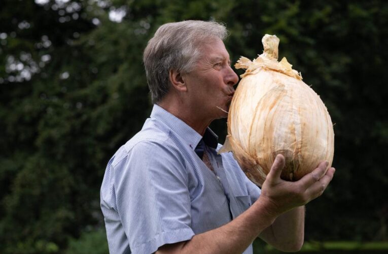 Gardener grows nearly 20-pound onion, may break record
