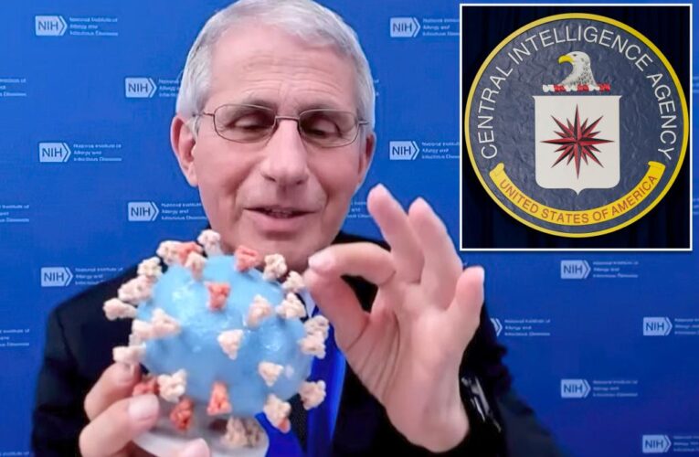 Fauci ​​secretly went to CIA HQ to ‘influence’ COVID-19 origins probe, House Republican alleges