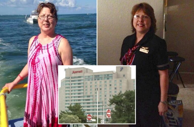 American Airlines flight attendant Diana Ramos’ sister-in-law shocked over death