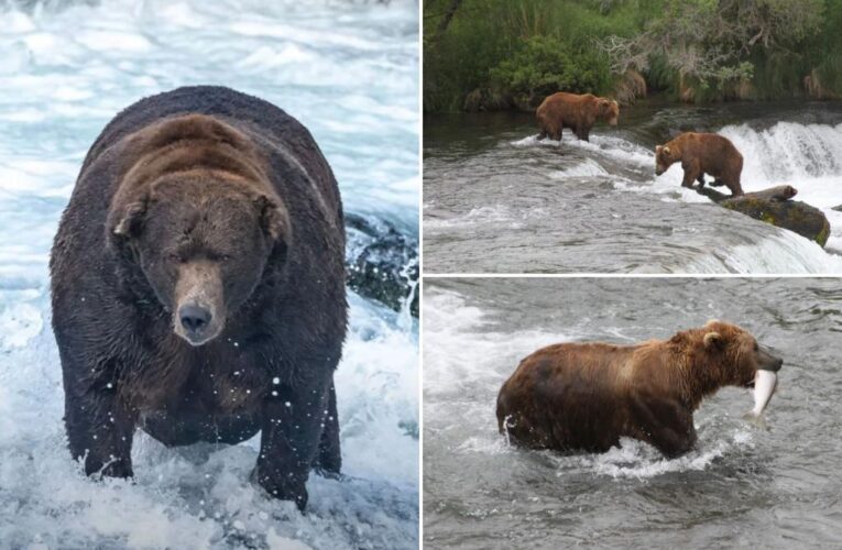 US government shutdown could postponed Alaska’s Fat Bear Week