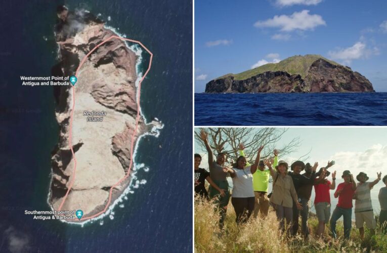 Caribbean island once overcome by bird poop now a refuge for endangered species