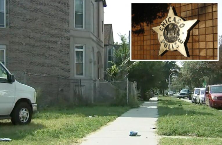 Chicago police shoot dog owner allegedly sicced on them