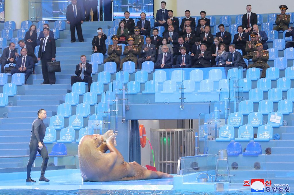  Kim Jong Un (C-seated front row) attending a walrus show at the Primorsky Regional Aquarium in Vladivostok, Primorsky region on Sept. 17, 2023.
