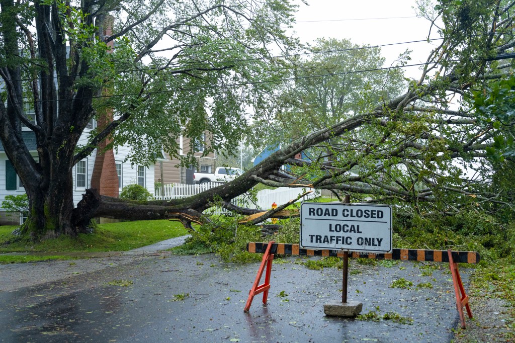 A downed tree hangs on power lines in Yarmouth, Nova Scotia, Canada.