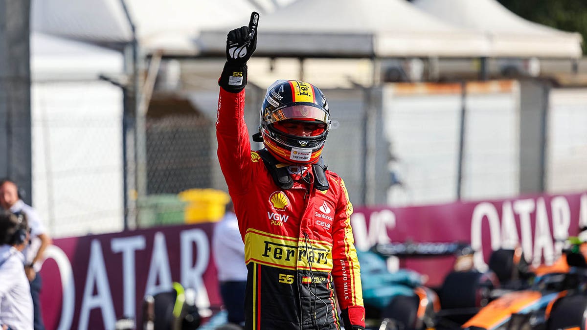 Carlos Sainz celebrates