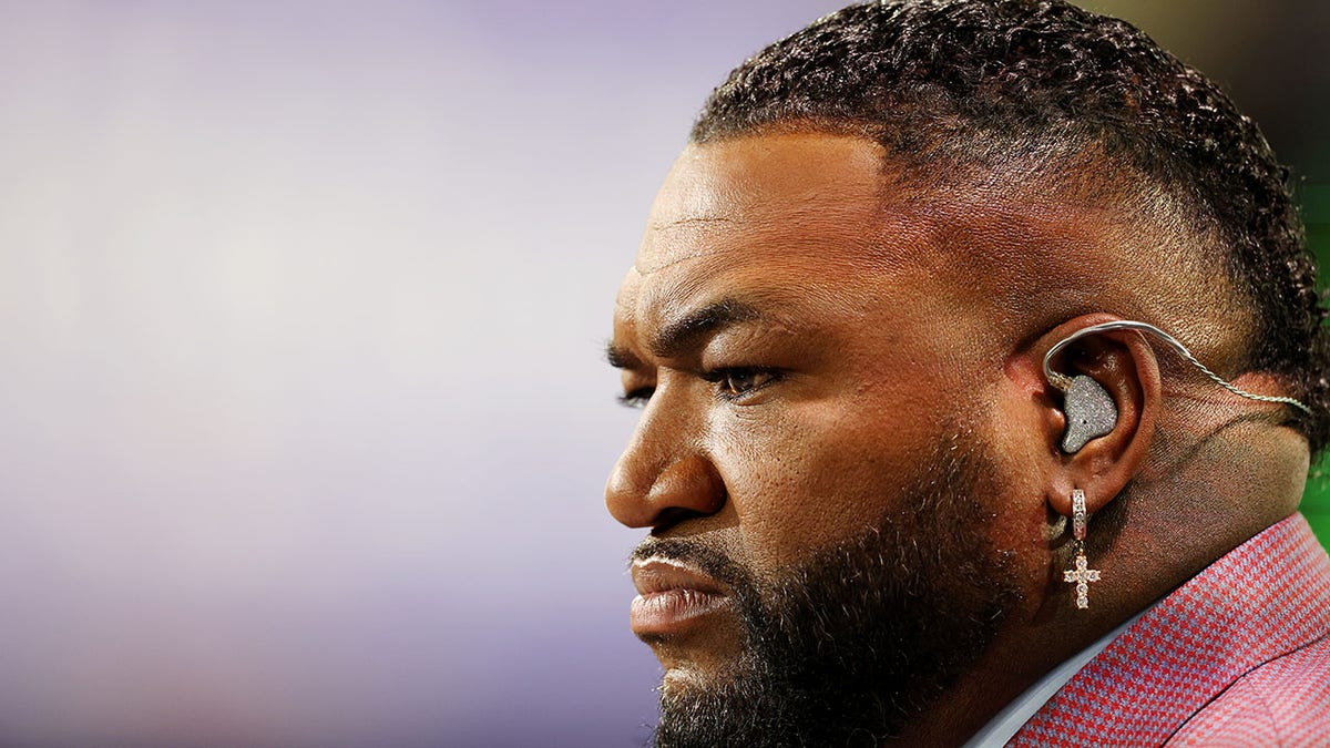 David Ortiz looks on prior to a game