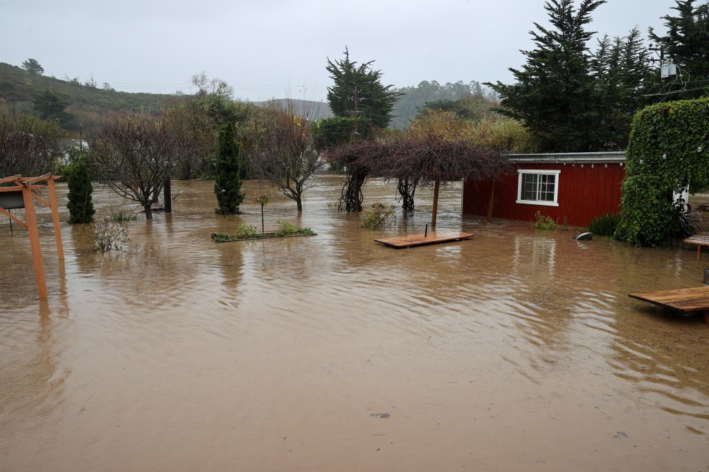 San Francisco, however, claims the catastrophic flooding was caused by "almost unprecedented" high rainfall, not neglect at the hands of the city.