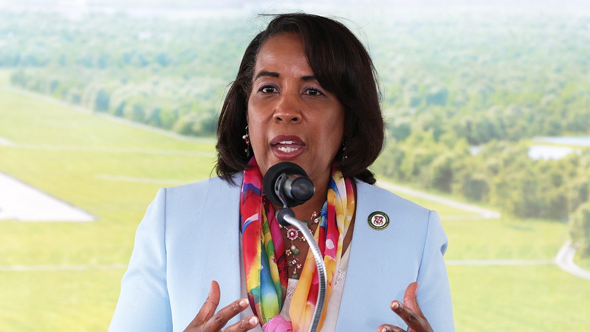 Phyllis Randall, Loudoun Board of Supervisors chairwoman in light blue blazer