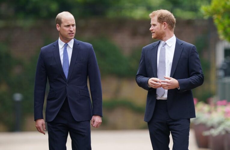 Prince William ‘has no desire’ to see Harry while both in UK: insider