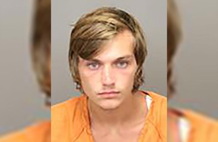 Florida man Dalton Reed arrested after throwing lollipop at Family Dollar manager
