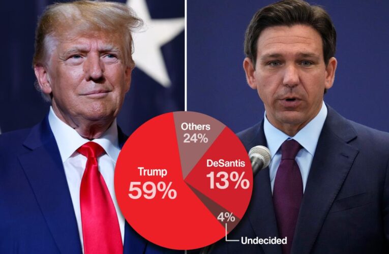 Ron DeSantis support ‘collapses’ after GOP debate: poll