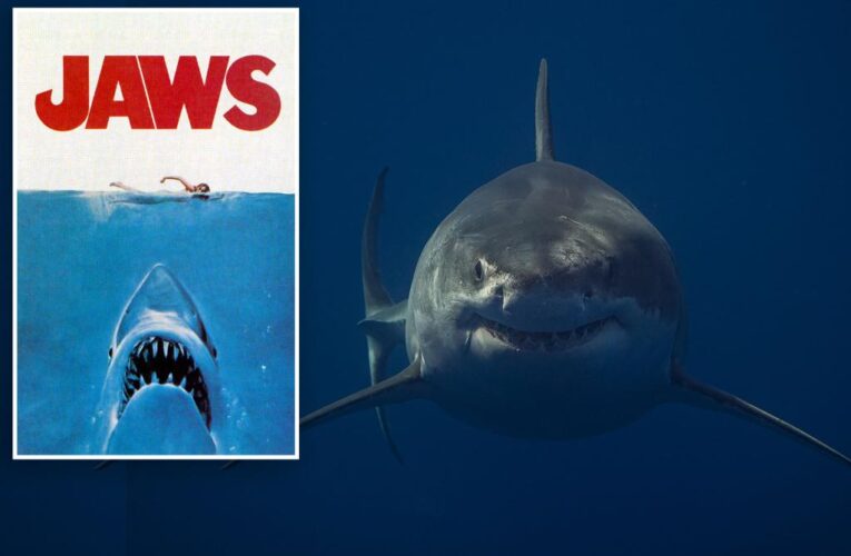 Doomed swimmer on ‘Jaws’ poster denounces shark hate