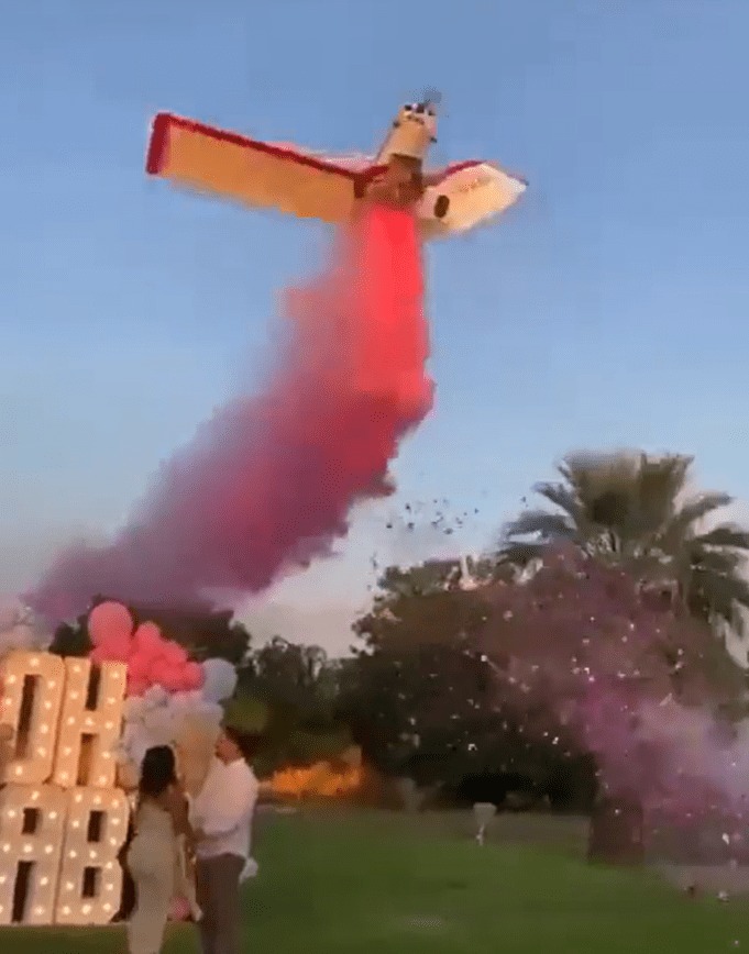 The unidentified couple is then doused in pink smoke and confetti by the doomed Piper PA-25 as it roars over the parents-to-be and confetti is seemingly shot out of a cannon.