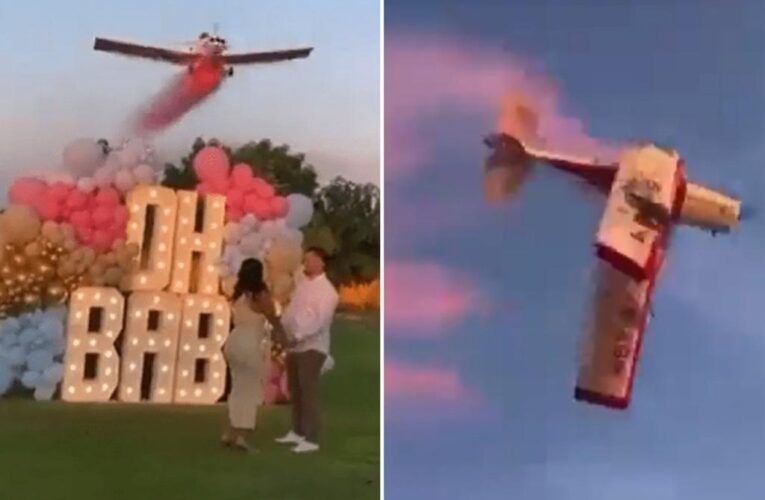 Gender reveal party ends in disaster as plane crashes