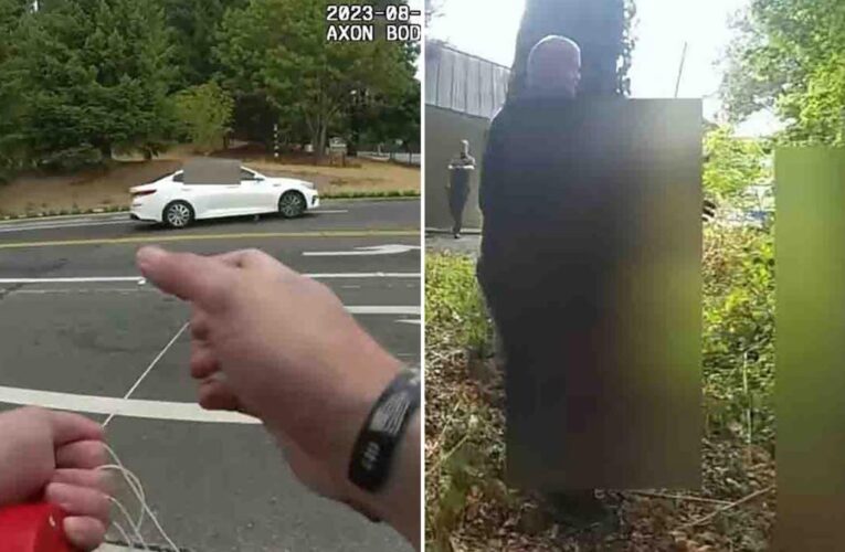Washington police officer barks like a dog to scare car thieves