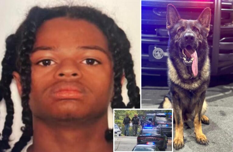 Armed Georgia teen shot dead by cops after killing police dog