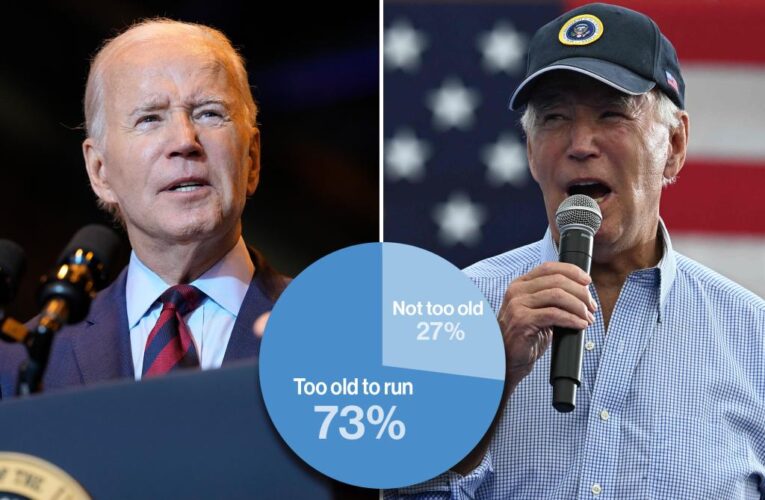 Two-thirds of even Dems say Biden too old for another term: bipartisan poll