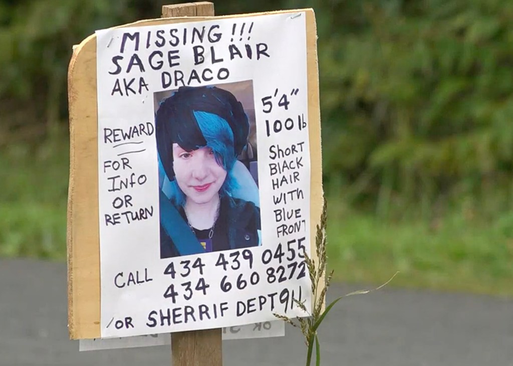 Missing poster for Sage Blair.