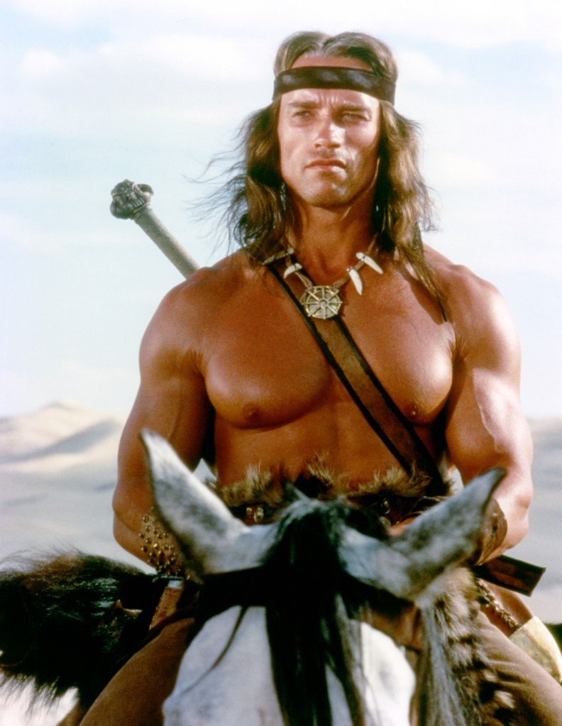 Schwarzenegger was on the set of Conan the Barbarian, directed by John Milius.
