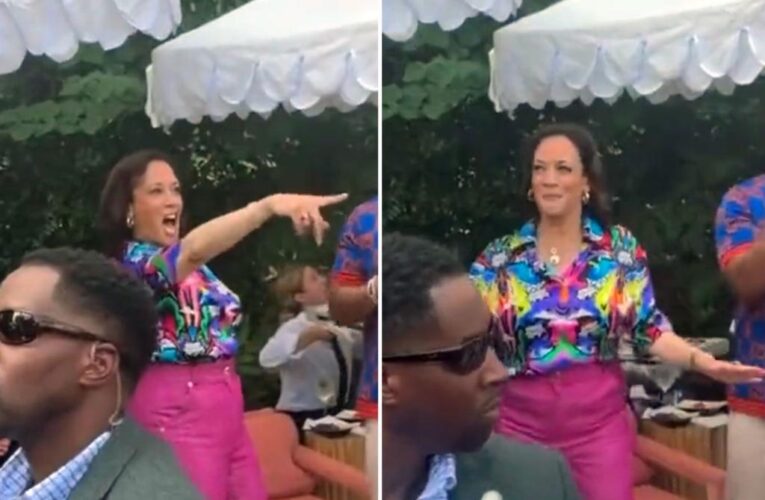 Kamala Harris shows off ‘granny moves’ at White House Hip-Hop party