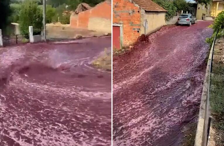 River of wine flows through Portuguese town