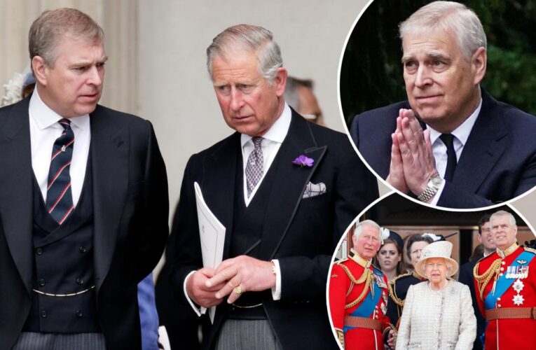 No one would ‘appreciate’ Prince Andrew returning to public life: royal expert