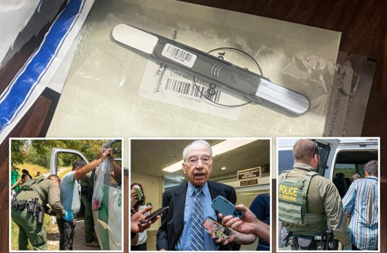 US border agency made ‘demonstrably false’ claim to Post about demoted whistleblowers: Grassley