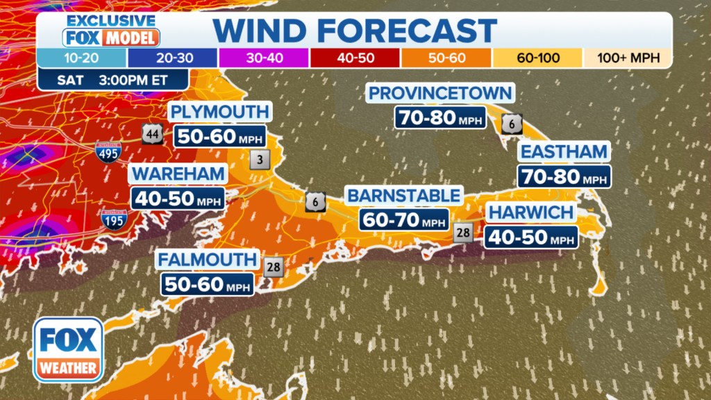 A Tropical Storm Warning means that tropical-storm-force winds are expected within the storm warning area within 36 hours.