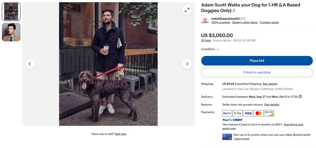 Adam Scott Ebay ad